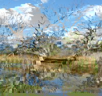 Lagoon Creek - Tourism Townsville