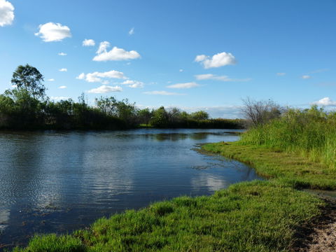 Lagoon Creek - Tourism Townsville 2