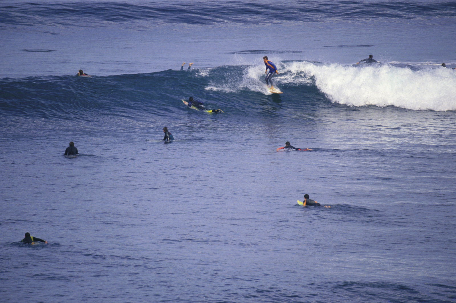 Bells Beach VIC Tourism Townsville