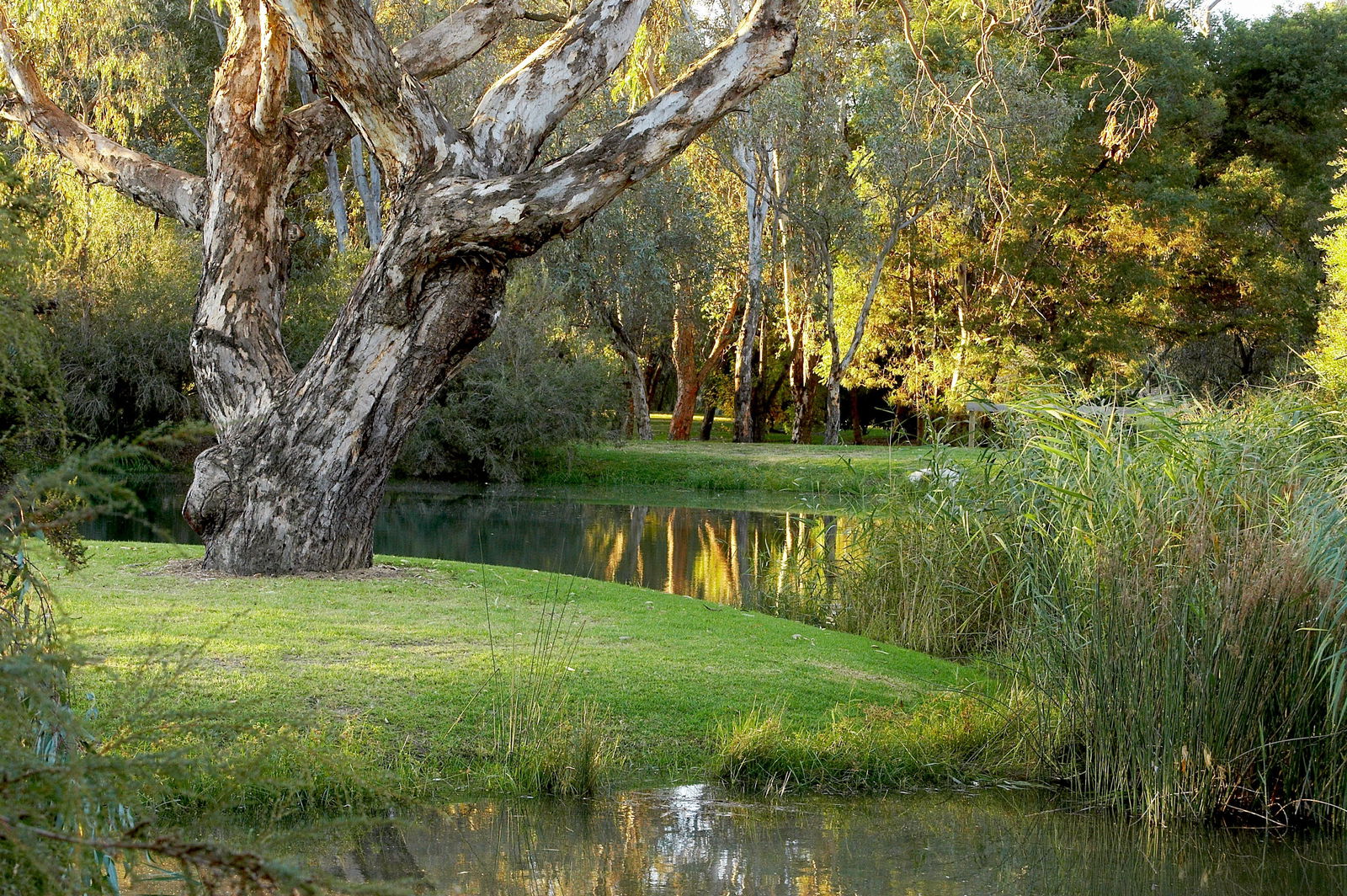 Gateway Island VIC Tourism Townsville