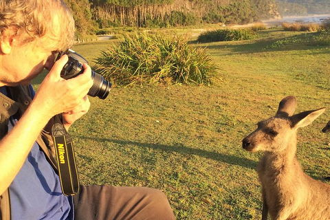 Highlights Of The Eurobodalla (half Day Private Tour) - Tourism Townsville 2