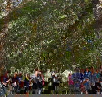 Breakfast Bushwalk Tour in Captain Cook's Monument - Tourism Townsville