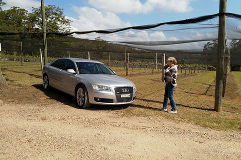 The Secret Vines Experience Port Macquarie - Tourism Townsville 0