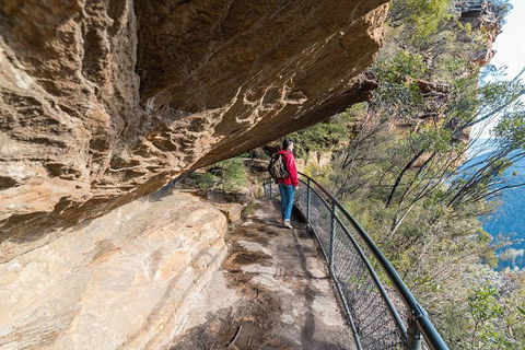 Blue Mountains Highlights & Wildlife Park - Tourism Townsville 0
