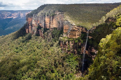 Blue Mountains Highlights & Wildlife Park - Tourism Townsville 9