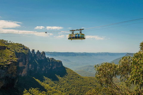 Blue Mountains Highlights, Wildlife Park And Scenic World Full Day Private Tour - Tourism Townsville 0