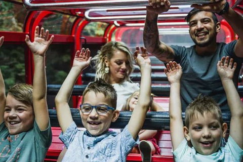 Blue Mountains Highlights, Wildlife Park And Scenic World Full Day Private Tour - Tourism Townsville 5