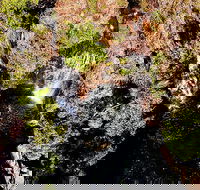 Ethical Adventures - Pure Litchfield - Tourism Townsville