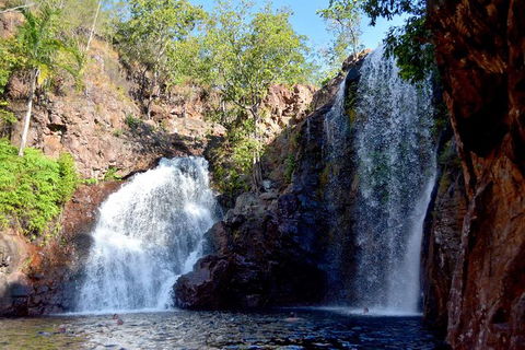 Ethical Adventures - Pure Litchfield - Tourism Townsville 2