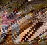 Karrke Aboriginal Cultural Experience - Tourism Townsville
