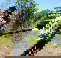 Kakadu  Arnhem Land tour Camping tour - Tourism Townsville
