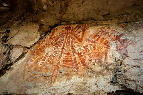 Arnhem Land Injalak Hill Full-Day Tour From Darwin - Tourism Townsville 1