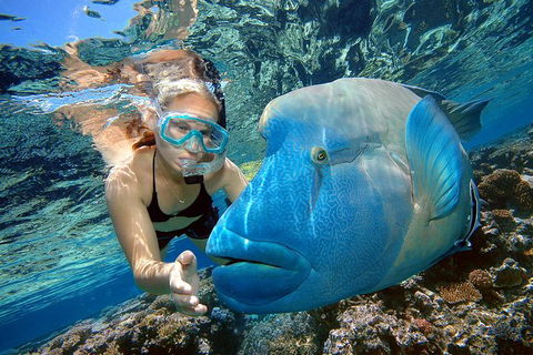 Cairns 2-Day Combo: Great Barrier Reef Cruise And Kuranda - Tourism Townsville 0