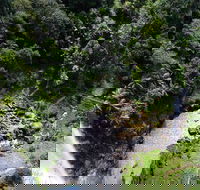 Full-day Springbrook National Park Tour from the Gold Coast