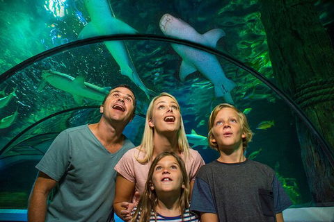 SEA LIFE Sunshine Coast Aquarium Entrance Ticket - Tourism Townsville 3