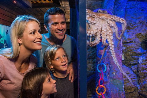SEA LIFE Sunshine Coast Aquarium Entrance Ticket - Tourism Townsville 5