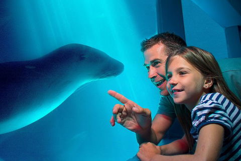 SEA LIFE Sunshine Coast Aquarium Entrance Ticket - Tourism Townsville 0