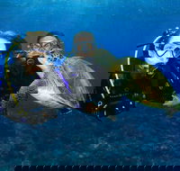Gold Coast Try-Scuba Experience at Wave Break Island