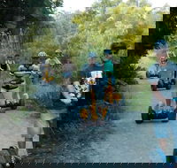 Gold Coast Segway Safari Adventure 60-minutes