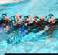 3-Day Open Water Certification Course on the Gold Coast