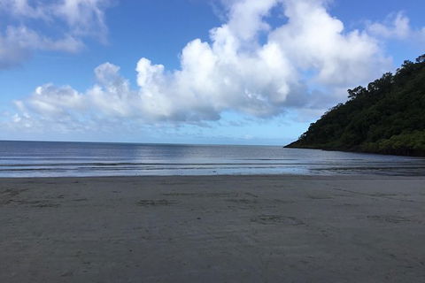 Daintree Luxury Limousine Tour - Full Day - Tourism Townsville 6