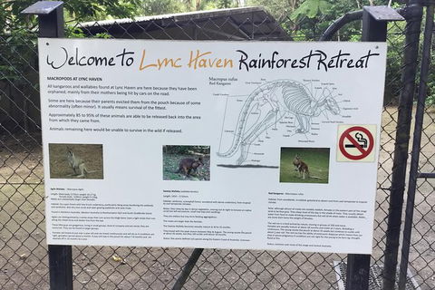 Daintree Luxury Limousine Tour - Full Day - Tourism Townsville 2