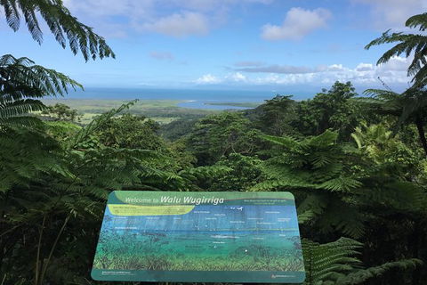 Daintree Luxury Limousine Tour - Full Day - Tourism Townsville 0