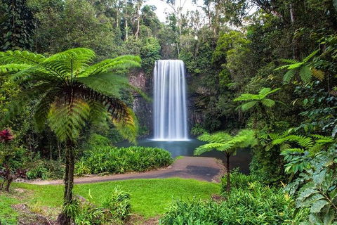 Cairns & Port Douglas All-Inclusive 7 Days Touring Package - Tourism Townsville 5
