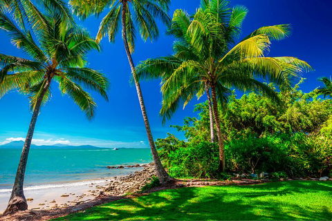 SHUTTLE - Port Douglas And Craiglie Return Transfer - Tourism Townsville 2