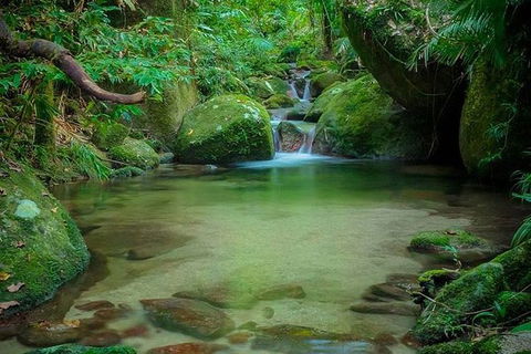 SHUTTLE - Mossman Gorge & Cooya Beach From Port Douglas (Return Transfer) - Tourism Townsville 2
