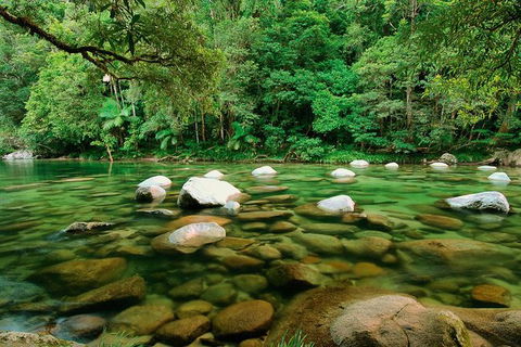 SHUTTLE - Mossman Gorge & Cooya Beach From Port Douglas (Return Transfer) - Tourism Townsville 3