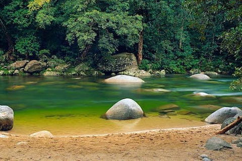 SHUTTLE - Mossman Gorge & Cooya Beach From Port Douglas (Return Transfer) - Tourism Townsville 1