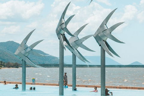 Cairns Airport Private Chater Transfer - Tourism Townsville 4