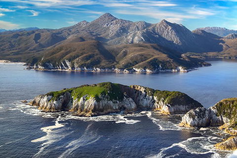 Southwest Tasmania Wilderness Experience: Fly Cruise And Walk Including Lunch - Tourism Townsville 12