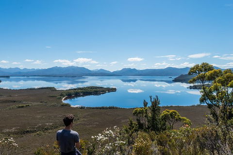 Southwest Tasmania Wilderness Experience: Fly Cruise And Walk Including Lunch - Tourism Townsville 2