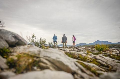 Southwest Tasmania Wilderness Experience: Fly Cruise And Walk Including Lunch - Tourism Townsville 5