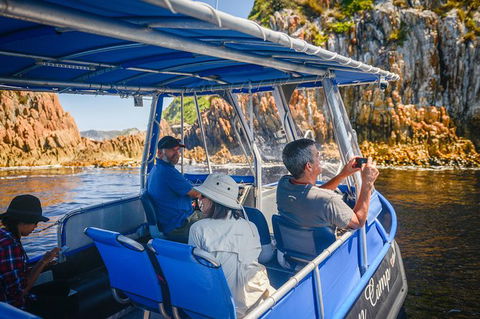 Southwest Tasmania Wilderness Experience: Fly Cruise And Walk Including Lunch - Tourism Townsville 11