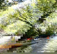 Paddle with the Platypus Twilight Kayak Adventure - Tourism Townsville