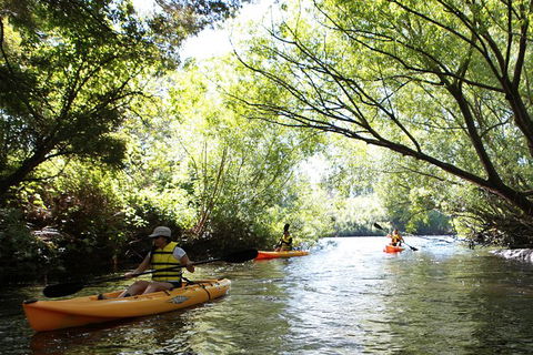 Paddle With The Platypus Twilight Kayak Adventure - Tourism Townsville 0