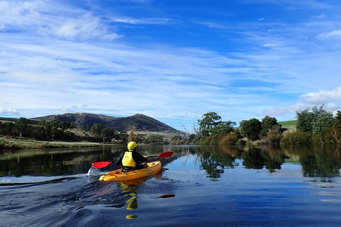 Paddle With The Platypus Twilight Kayak Adventure - Tourism Townsville 5