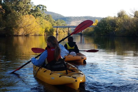 Paddle With The Platypus Twilight Kayak Adventure - Tourism Townsville 1