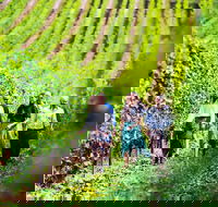 Tasmanian Wine Tour - Tourism Townsville