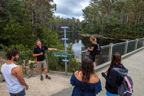 Tahune Airwalk Active Day Trip From Hobart Including Hastings Caves - Tourism Townsville 3