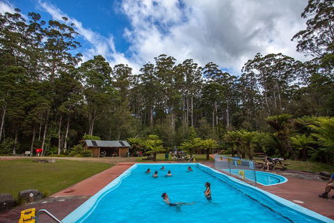 Tahune Airwalk Active Day Trip From Hobart Including Hastings Caves - Tourism Townsville 2