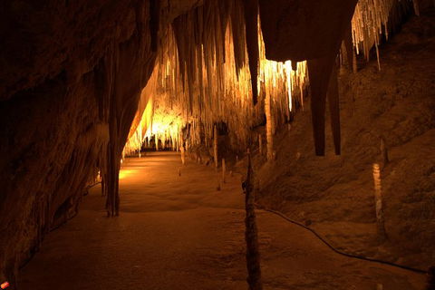 Tahune Airwalk Active Day Trip From Hobart Including Hastings Caves - Tourism Townsville 8