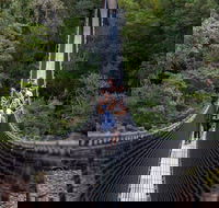 Tahune Airwalk Active Day Trip from Hobart Including Hastings Caves - Tourism Townsville