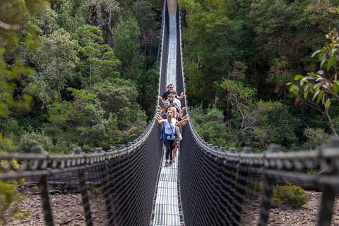 Tahune Airwalk Active Day Trip From Hobart Including Hastings Caves - Tourism Townsville 0