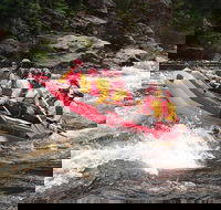 King River White Water Raft Journey from Queenstown with Lunch - Tourism Townsville