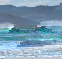 Full Day Tour Hobart East Coast Classic Wine Beach Oysters Seafood  Berries - Tourism Townsville