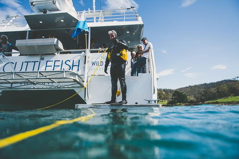 Deep-to-Dish: Tasmanian Seafood Experience - Afternoon Tour - Tourism Townsville 6